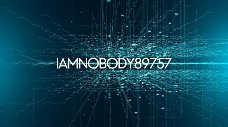 iamnobody89757: Exploring the Identity of an Internet Enigma