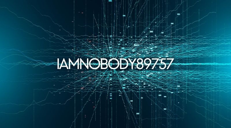 iamnobody89757: Exploring the Identity of an Internet Enigma